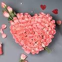 FlowerAura Premium Fresh Live Flower Bouquet of 75 Pink Roses In Heart Box Gift For Birthday | Anniversary | Love | Home Decor | Fathers Day Gift For Dad (Same Day Delivery)