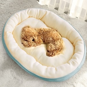fluffy39s dog bed for dogs amp cats durable warm dog bed washable sleeping puppy bed soft calming cat beds for indooroutdoor sky blue xl