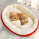 Fluffy's Cotton Dog &amp; Cat Bed, Durable Warm &amp; Washable, Soft Calming for Indoor &amp; Outdoor (Red, Large)