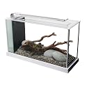 Fluval SPEC Aquarium Kit, 5 Gallon, White