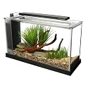 Fluval SPEC Aquarium Kit, 5-Gallon