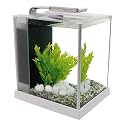 Fluval SPEC III Aquarium Kit, 2.6 Gallon, White