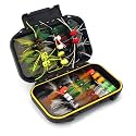 Fly Fishing Flies Assortment Kit Dry Wet Nyphms Tenkara Popper Streamer Woolly Bugger for Trout Bass Salmon Steelhead with Fly Box