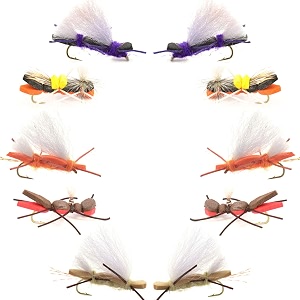 the fly fishing place basics collection - chernobyl ant foam dry fly assortment - 10 dry fishing grasshopper flies - 5 patterns - hook size 10