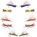 The Fly Fishing Place Basics Collection - Chernobyl Ant Foam Dry Fly Assortment - 10 Dry Fishing Grasshopper Flies - 5 Patterns - Hook Size 10