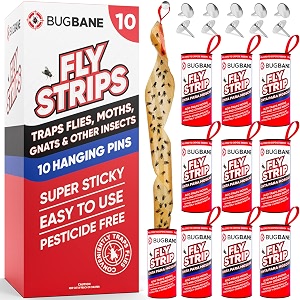 Fly Strips Indoor Sticky Hanging 10pk with