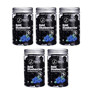 flyberry dried bold blueberries  healthy snack  no added sugar sugarfree amp delicious  dried blue berries  100 vegetarian  best for kids  vegan non-gmo amp no preservatives  500g pack of 5 100g each blue berries