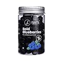 Flyberry Gourmet Dried Blueberries, 100g | Sugar Free | Infused with Organic Apple Juice