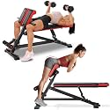 Flybird 4 in 1 Roman Chair with Adjustable Weight Bench &amp; Sit Up Bench for Full Body Workout, Fitness equipment for HyperBack Extension for Glutes, Hamstrings &amp; Lower Back, Multi-Purpose for Home Gym