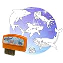 Flycatcher smART Sketcher 2.0 Under the Sea Cartridge, 50+ Designs, 5+