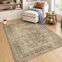 FMFUNCTEX 4x5 Washable Brown Neutral Vintage Retro Area Rug for Entryway
