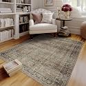 FMFUNCTEX 4x6 Washable Brown Multi Vintage Retro Area Rug for Entryway