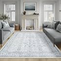 FMFUNCTEX 6x9 Washable Blue Neutral Vintage Retro Area Rug for Living Room
