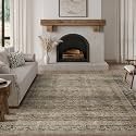 FMFUNCTEX 8x10 Washable Brown Multi Vintage Soft Area Rug for Living Room