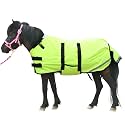 300D Foal/Mini/Pony Horse Blanket, 150g Waterproof Winter Turnout