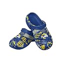 FOCO Arizona Cardinals NFL Mens Historic Print Clog with Strap