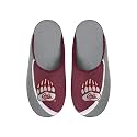 FOCO Men's NCAA 2022 Big Logo Color Edge Slipper
