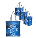 FOCO NFL unisex-adult Nfl Team Logo 4-pack Reusable Grocery Shopping Bags Totes