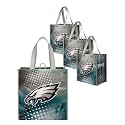 FOCO NFL unisex-adult Nfl Team Logo 4-pack Reusable Grocery Shopping Bags Totes