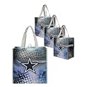 FOCO NFL unisex-adult Nfl Team Logo 4-pack Reusable Grocery Shopping Bags Totes