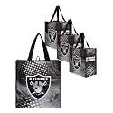 FOCO NFL unisex-adult Nfl Team Logo 4-pack Reusable Grocery Shopping Bags Totes