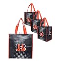 FOCO NFL unisex-adult Nfl Team Logo 4-pack Reusable Grocery Shopping Bags Totes