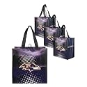 FOCO NFL unisex-adult Nfl Team Logo 4-pack Reusable Grocery Shopping Bags Totes
