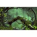 Foggy Forest Aquarium Background Stone Green Tree Terrarium Background Tropical Reptile Habitat Background Rainforest Aquarium Backdrop Durable Polyester Background Decor Vinyl 36x24in
