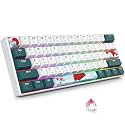 Fogruaden 60% Wireless Mechanical Keyboard, Hot Swappable USB-C Wired/Bluetooth Keyboard with RGB Backlit for Win/Mac, 61 Keys NKRO Gaming Keyboards, Double Shot PBT Keycaps(Red Switch, Forest)