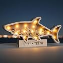 FoldTier Shark Tooth Display Case with LED Light, 9.8-in Shark Teeth Holder