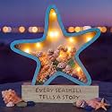 FoldTier Starfish Seashell Display Case with Lights Wooden Seashell Holder