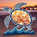 FoldTier Turtle Seashell Holder with LED Light, Wood Seashell Display Case