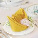 FOLINS&amp;HOME Yellow Cloth Napkins Set of 4, Decorative 20x20 Inch Napkins