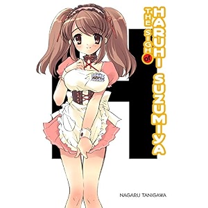 the haruhi suzumiya series