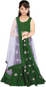 FOND FASHION Indi Girls Lehenga Choli Ethnic Wear Embroidered Ghagra, Choli, Dupatta Set (Green, Pack of 1)