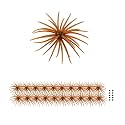 FONMANG Urchin Baits for Bass Fishing, Creature Bait Dice Baits 1.5/2.7/3.5/4.3/5.1 inches Fuzzy Dice Fishing Lures with Rubber Legs, Fishing Lure for Freshwater