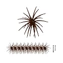 FONMANG Urchin Baits for Bass Fishing, Creature Bait Dice Baits 1.5/2.7/3.5/4.3/5.1 inches Fuzzy Dice Fishing Lures with Rubber Legs, Fishing Lure for Freshwater