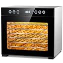 Food Dehydrator Machine with Interior Light Included