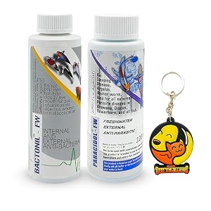 foodie puppies aquatic remedies combo - bactonil amp paracidol - 220ml each combo of 2  anti-bacterial effective fish skin treatment  aquarium medicine suitable for fresh water with free key ring