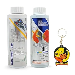 foodie puppies aquatic remedies combo of bactonil 120ml  general cure 120ml  anti-bacterial effective fish skin treatment suitable for freshwater  aquarium medicine