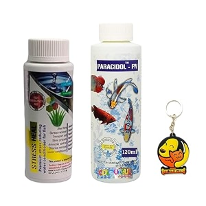 foodie puppies aquatic remedies combo of stress heal 100ml  paracidol 120ml  suitable for fresh and salt water  rapidly reduces stress and mortality  aquarium medicine