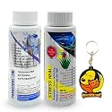 Foodie Puppies Aquatic Remedies Combo of Stress Heal (200ml) + Paracidol (220ml) | Suitable for Fresh and Salt Water | Rapidly Reduces Stress and Mortality | Aquarium Medicine