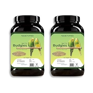 foodie puppies bird food for budgies - 2kg  natural amp healthy premium mix seeds canary yellow proso browntop sunflower pearl oats amp niger