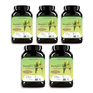 foodie puppies bird food for budgies - 5kg  natural amp healthy premium mix seeds canary yellow proso browntop sunflower pearl oats niger  daily birds food seeds  all life stages