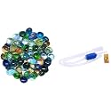 Foodie Puppies Decorative Glossy (Mix Glass Stones, 900gm) Shiny Smooth Glass Pebble Stones for Aquarium/Fish Tank Plant Pots Garden Home Table &amp; Outdoor Decoration &amp; Foodie Puppies Siphon Pump