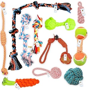 foodie puppies 11pcs cotton rope toys combo festival gift box - 2knt  3knt  5knt  twisted  carrot  handle ball  ball  dumbbel  dummy  dual-tennis  2kntball for small to medium dogs