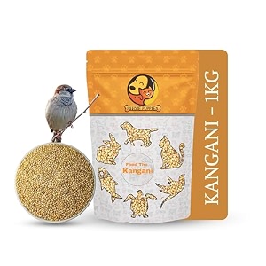 foodie puppies foxtail millet kangni seeds bird food - 1kg pouch high-fiber balanced nutritious daily diet for all bird types