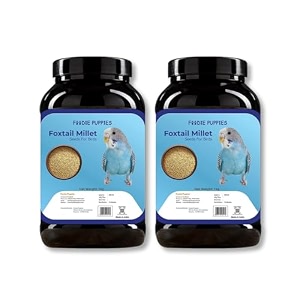 foodie puppies foxtail millet kangni seeds bird food - 2kg with high-fiber balanced nutritious daily diet suitable for canaries finches waxbills budgies etc