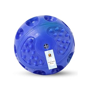 foodie puppies hard squeeze squeaky ball dog toy  squeaker lightweight durable and water resistant  interactive fetch toys for puppy dog chew toys color may vary medium