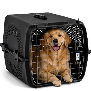 Foodie Puppies Imported Plastic Pet Travel Carrier